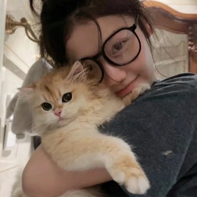 加菲猫和他的朋友们第六季